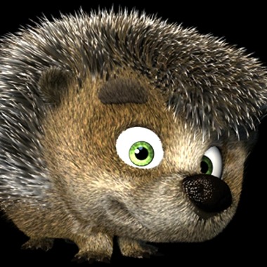 IT,  język, komunikacja