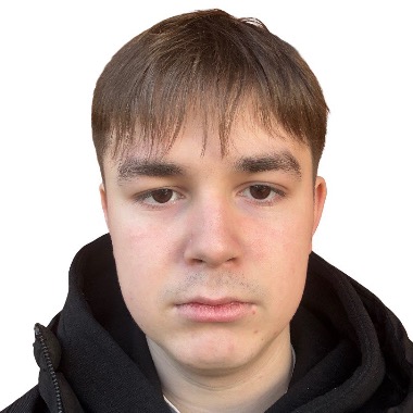 exel, web developer (html, js,css,php,SQL)