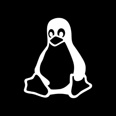 Junior Python Developer | Bash Automation