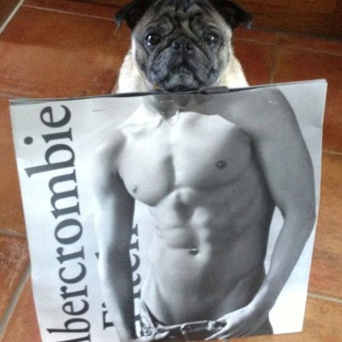 Jestem początkującym projektantem i potrafię tworzyć karty produktów.